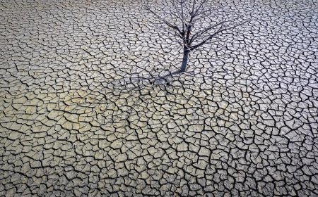 Istanbul and Izmir Water Crisis Deepens: Why Aren't We Desalinating Seawater?