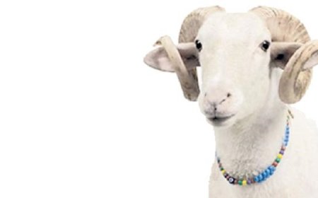 Sacrifice and Vows for Genetic Diseases: A Spiritual Prescription in the Light of Surah Al-Kawthar