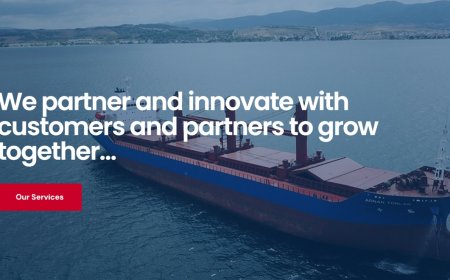 Torlak Family Shifts from Shipyard Leadership to Global Vessel Ownership and Services