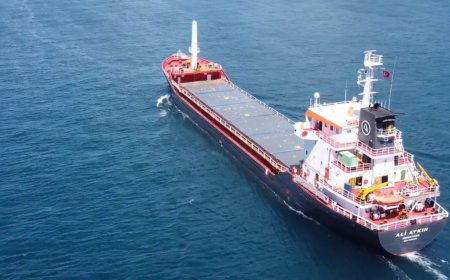 Aykın Shipping Celebrates 10 Years, Focuses on Dry Bulk Leadership