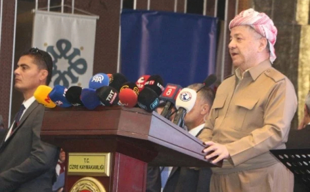 Presidential advisors slam armed Peshmerga presence in Şırnak