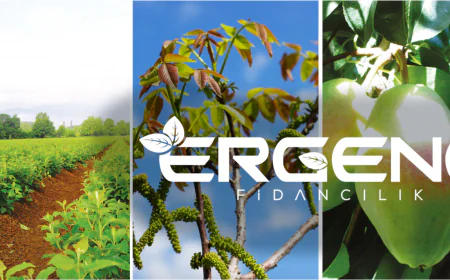 Turkey aims for global leadership in sapling production within five years