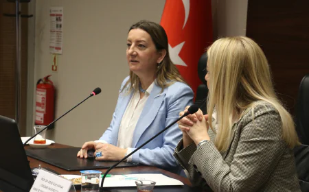 Men Claim Authority, Women Demand Equality: The Great Gender Divide in Turkish Families