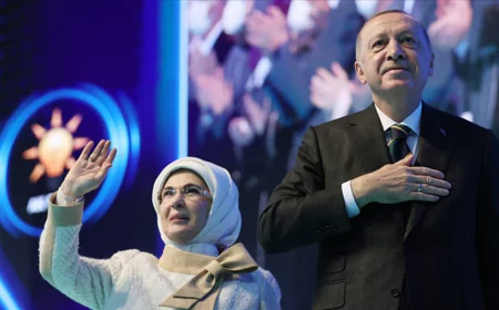 Ankara’s Grand Strategy: A Return to Parliamentarianism and the  Emine Erdoğan Formula
