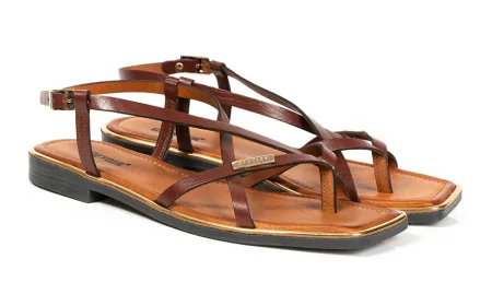 Kavsan expands global footprint with Greyder and Zucci brands