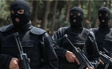 Guardians of the Regime: Who are Iran’s Revolutionary Guard?