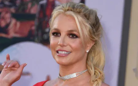 Pop superstar Britney Spears briefly detained in California